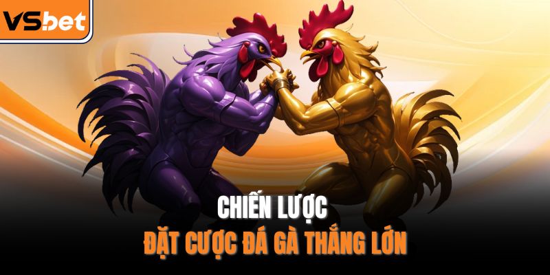Chiến lược đặt cược đá gà thắng lớn