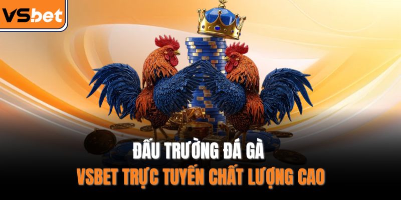 Đấu trường đá gà VSBET trực tuyến chất lượng cao